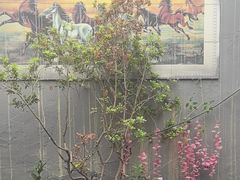 -郭师傅冰稀饭(人民路店)