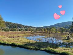 -比顿咖啡(和顺古镇店)