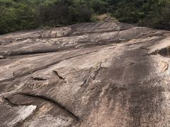 -武汉姚家山旅游景区