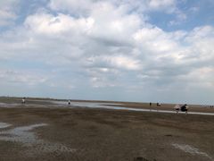 -刘家湾赶海园