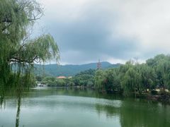 -天下玉苑