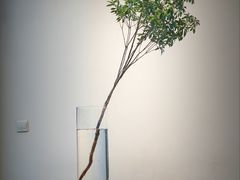 -VOYAGE COFFEE(杨梅竹店)