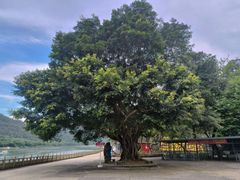 -飞霞风景名胜区