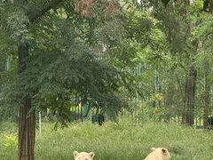 -秦皇岛野生动物园