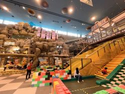 -卡通尼·Safari非洲探索乐园·生日会(金桥国际商业广场店)