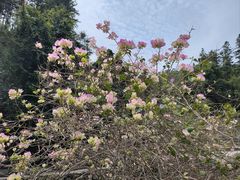 -英西峰林九重天景区