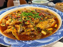 -新概念来凤鱼(璧山店)