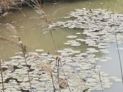 -处女泉风景名胜区