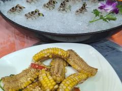 -富来美食(成发大厦店)