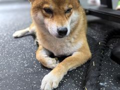 -博纳私人订制健身(中集美兰湖店)
