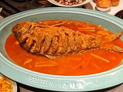 -阿五黄河大鲤鱼(英协路店)