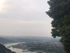 -铁山坪森林公园