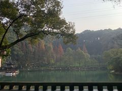 -忠山公园