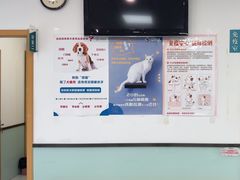 -中农大我爱我爱动物医院·核磁CT·猫病·24小时夜诊中心(石佛营店)