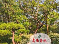 -禅宗少林·音乐大典