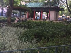 -九龙公园