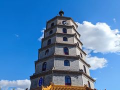 -塞罕坝国家级自然保护区