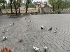 -北京世界公园