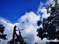 -罗田薄刀峰风景区