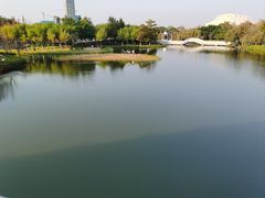 -映月湖公园