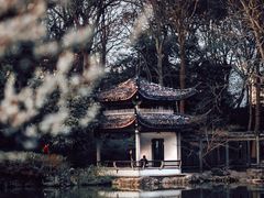 -杭州植物园