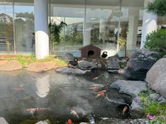 -罗红摄影艺术馆