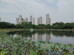 -映月湖公园