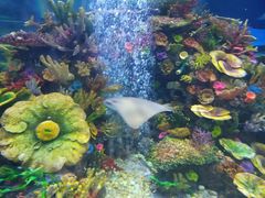 -成都浩海立方海洋公园