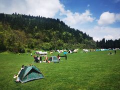 -武陵山森林公园