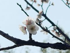 -东方绿舟景区