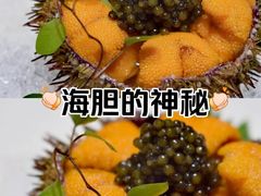 -原志优秀食材·匠心料理·海胆主题(金亿广场店)
