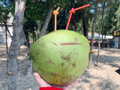 -玫瑰海岸文化旅游度假区
