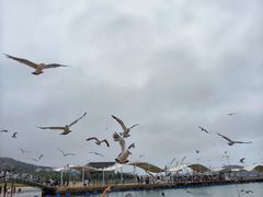 -海驴岛(荣成市)