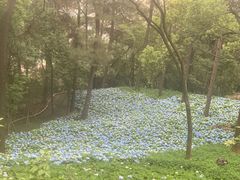 -临平公园(临平街道)