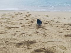 -海云台海滩
