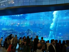 -迪拜水族馆及水下动物园