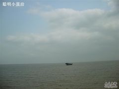 -大湾区中央湿地公园