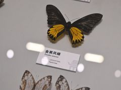 -四川大学博物馆
