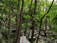 -老君洞旅游度假区