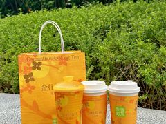 -奈雪的茶(正弘城PRO+店)