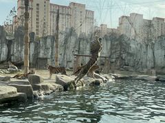 -上海野生动物园