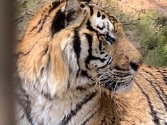 -中国大熊猫保护研究中心雅安碧峰峡基地