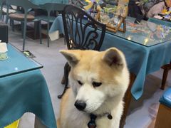 -My Way Town买味堂·东南亚餐厅(亦庄店)