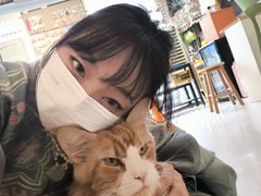 -平行世界·猫咖(首经贸店)