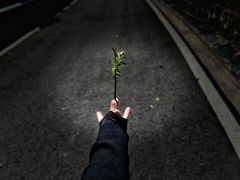 -上方山森林动物世界
