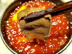 -鼎膳常火锅(华阳店)