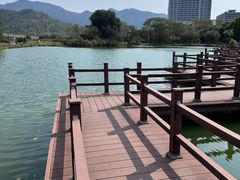 -坪山湿地公园