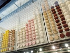 -BLACKSWAN黑天鹅(环球店)