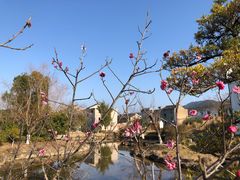 -前童古镇