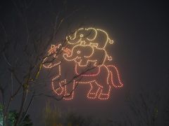 -武汉园博园(武汉自然博物馆)